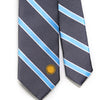 Argentina Flag Tie