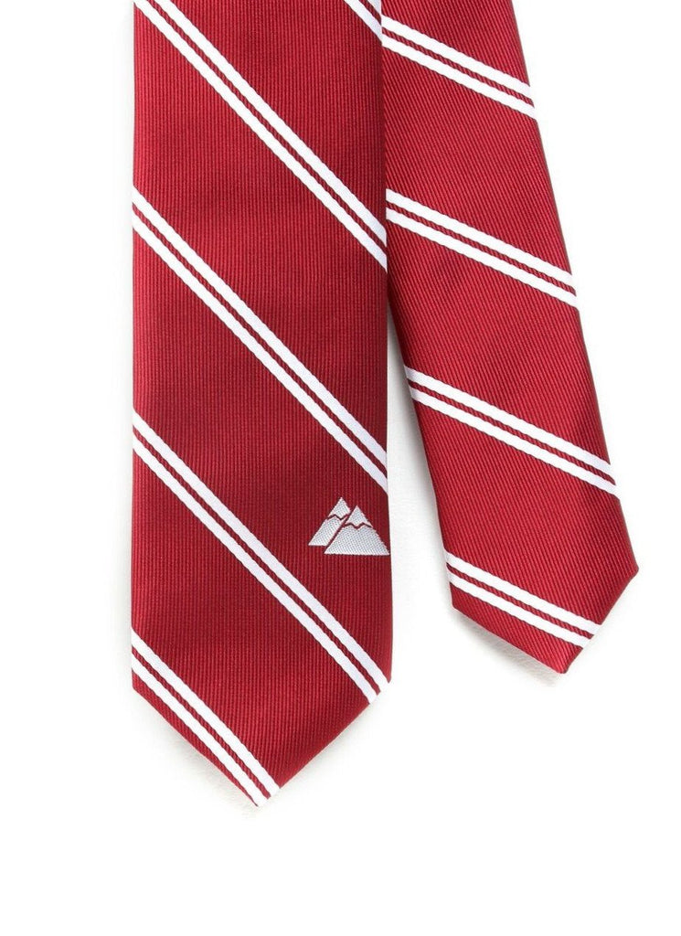 Switzerland Flag Tie