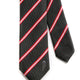 Washington D.C. Flag Tie